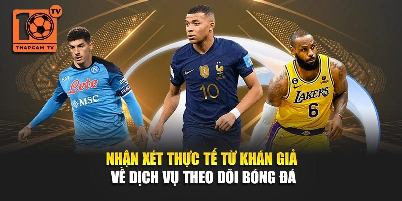 Nhận xét thực tế từ khán giả về dịch vụ theo dõi bóng đá
