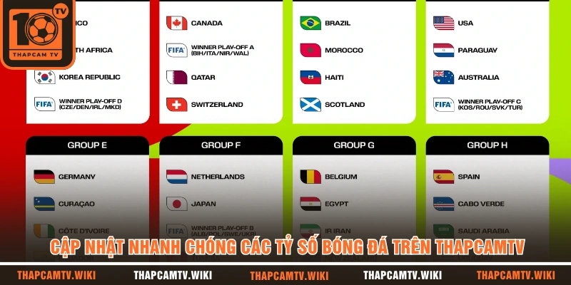 Cập nhật nhanh chóng các tỷ số bóng đá trên Thapcamtv